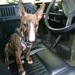 Ersteller:in Frank Profilbild