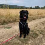 Ersteller:in Doreen Profilbild