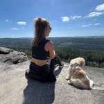 Ersteller:in Constanze Profilbild