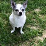 Ersteller:in Nadine Profilbild