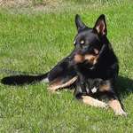 Ersteller:in Ulrike Profilbild