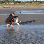 Ersteller:in Christin Profilbild