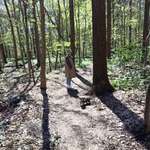 Ersteller:in Katharina Profilbild