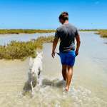 Ersteller:in Percy Profilbild