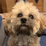 Ersteller:in Claudia Profilbild