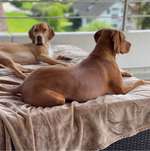 Ersteller:in Silvana Profilbild