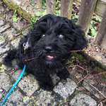 Ersteller:in Wibke Profilbild