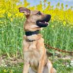 Ersteller:in Mia Profilbild