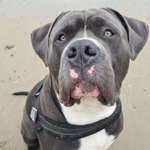 Ersteller:in Melanie Profilbild