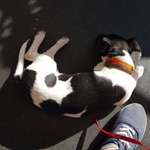 Ersteller:in Lisa Profilbild