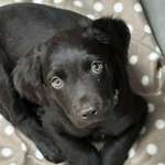 Ersteller:in Jennifer Profilbild