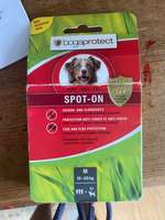 extremer Haarausfall-Beitrag-Bild