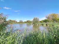 Hundeauslaufgebiet-Saulheimer Bach-Bild