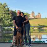 Ersteller:in Brit Profilbild