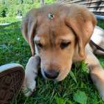 Ersteller:in Emely Profilbild