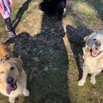 Ersteller:in Michelle Profilbild