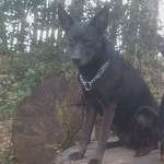 Ersteller:in Sabine Profilbild