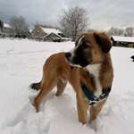 Ersteller:in Alessia Profilbild