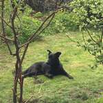 Ersteller:in Be Profilbild