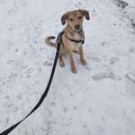 Ersteller:in Marc Profilbild