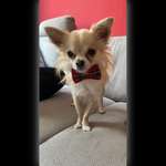 Ersteller:in Laura Profilbild