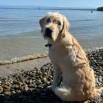 Ersteller:in Christine Profilbild