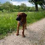 Ersteller:in Lisa-marie Profilbild