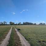 Hundeauslaufgebiet-Spargelfelder Brielow-Bild