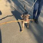 Ersteller:in Niklas Profilbild