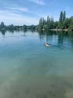 Hundeauslaufgebiet-Binsfeld-Bild