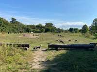 Hundeauslaufgebiet-Hundespiel- und Übungsplatz-Bild