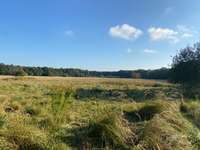 Hundeauslaufgebiet-Hessler Bruchwiese-Bild