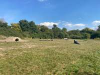 Hundeauslaufgebiet-Hundespiel- und Übungsplatz-Bild