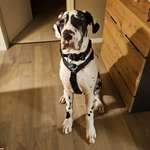 Ersteller:in Eva Profilbild