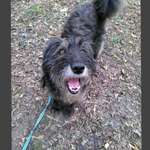 Ersteller:in Nat Profilbild