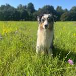 Ersteller:in Katharina Profilbild