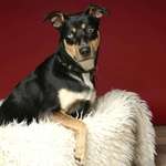 Ersteller:in Sarah Profilbild