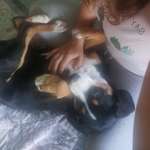 Ersteller:in Natascha Profilbild