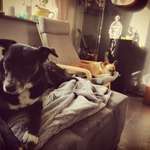 Ersteller:in Agata Profilbild