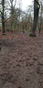 Hundeauslaufgebiet-Volkspark Jungfernheide-Bild