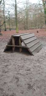 Hundeauslaufgebiet-Volkspark Jungfernheide-Bild