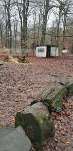 Hundeauslaufgebiet-Volkspark Jungfernheide-Bild