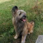 Ersteller:in Andrea Profilbild