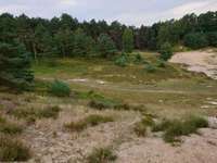 Hundeauslaufgebiet-Neugraben-Bild