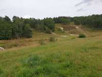 Hundeauslaufgebiet-Neugraben-Bild