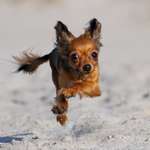 Ersteller:in Sabrina Profilbild