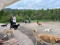 Hundeauslaufgebiet-Allmend Brunau-Bild