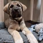 Ersteller:in Nadine Profilbild