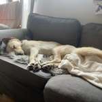 Kann Kuscheln erlernbar sein?-Beitrag-Bild