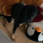 Ersteller:in Andrea Profilbild